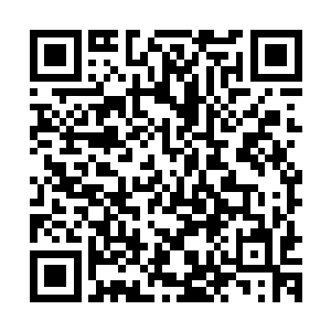 代表的是你踩动一圈踏板可以让这架人力飞机的螺旋桨转动50圈二维码生成