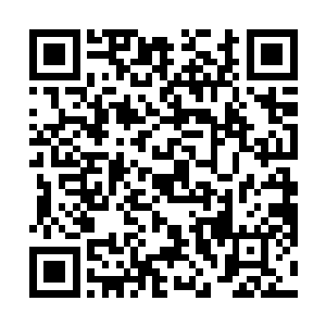 代表着银河圣将第一圣徒和第三圣徒的灵魂玉牌碎裂了二维码生成