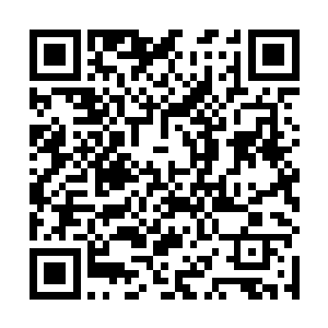 令人吃惊的是那上面竟然贯穿着一条近十厘米长的伤疤二维码生成