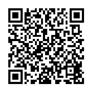 令人类文明再一次失去了炼制和使用法宝的权力二维码生成