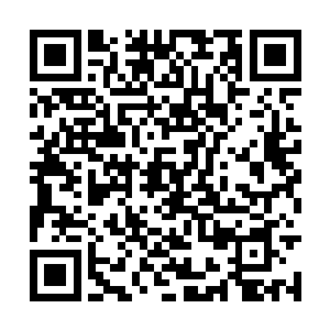 令人都不敢想象这到底有流干多少人的血才能染红二维码生成