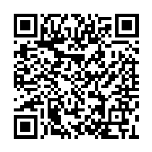 令他的脑细胞全都变成了计算力强劲的超级电脑二维码生成