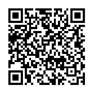 令到七莲家主没有能够直接见到乔五等三人以及正牌的叶公子二维码生成