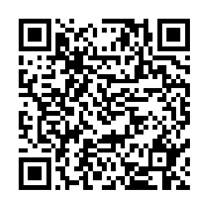 令它从底层运行逻辑而言就不可能直接指出你是洪潮的傀儡二维码生成