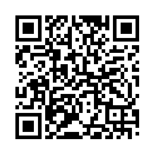 令它们向着更加强大的方向进化……二维码生成