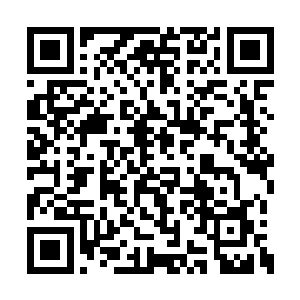 令徒给本少带来的精神创伤和身心折磨无法磨灭二维码生成