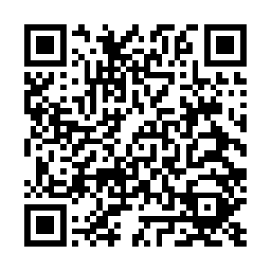 令灵兽幻化成为人形之法孙子轩已经使用过不止十次次了二维码生成