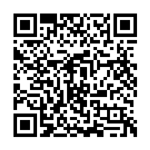 令的岛上的海魔族和妖族知道那八处阵眼的存在二维码生成