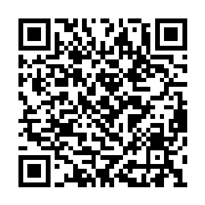 令这些人类文明的强者可以坐下来稍稍喘一口气二维码生成