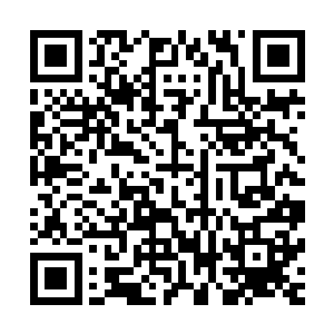 以为小姐是个柔韧意志坚定但凡有事情便是打掉牙和血吞的人二维码生成