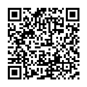 以为整天装出那副笑呵呵没心肝的模样瞒得了谁二维码生成