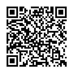 以为这朝廷休憩镇海楼是为了祈祷他们风调雨顺二维码生成