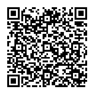 以争取到更多可以在外面的世界活动的机会……蛮荒神石的气息对于它有着致命的吸引力二维码生成