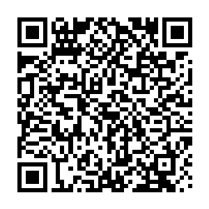 以五公主和八公主为首的马球队还会和朵丽和可雅公主为首的马球队比赛二维码生成