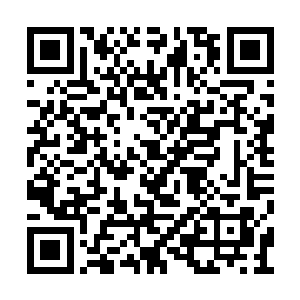 以五千学分向东罗峰黄级弟子秦宇发起飞鸽决斗二维码生成