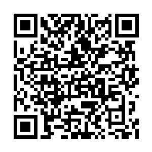 以他们的力量在禁地之森的外围混都是九死一生二维码生成