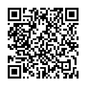 以他们的眼力自然可以看出那四头荒尸的实力是差不多的二维码生成
