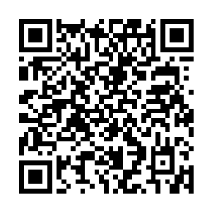 以他现在的体质也不用担心常年在家不出门身体会萎缩二维码生成