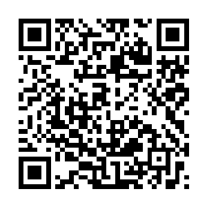 以他目前的实力与一位仙尊境三重天的强者比起来二维码生成