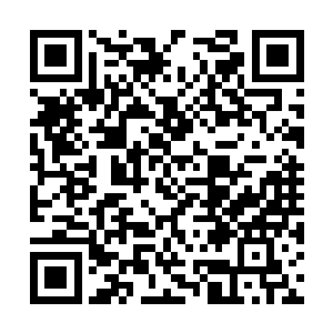 以他那三脚狗的功夫怎么可能动他师父的一根汗毛二维码生成