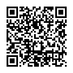 以你的实力竟然都要耗费九牛二虎之力才拿到飞天蜈蚣的精血二维码生成