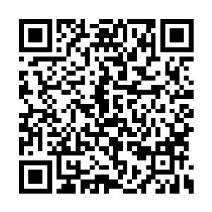 以其非凡的想象力构建起一个吸血鬼族群的史诗二维码生成