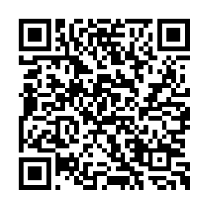 以出窍后期的修为竟然这么快就落败在对方手中二维码生成