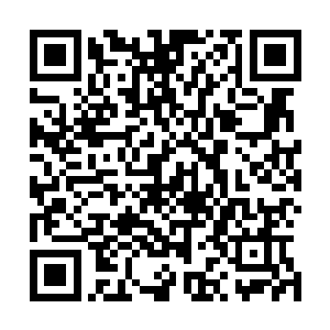 以前他从来都没有想到丈母娘竟然是把他当成了儿子在看的二维码生成