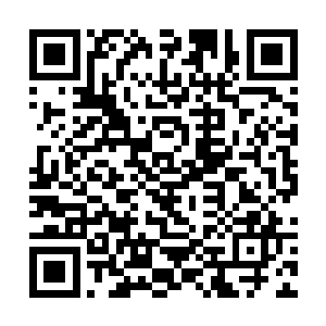 以前他们的书信来往也是夹在清菏画院的书信往来中二维码生成