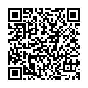 以前他只是借着安妮公主的神秘骑士的东风拥有了一点影响力二维码生成