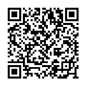 以前在飞龙部落的时候女孩少找不到还有情可原二维码生成