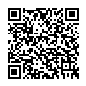 以前她们是绝对不敢惊动宿管更不敢报告老师的二维码生成
