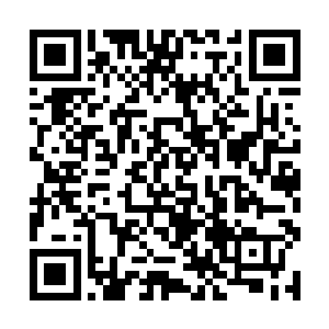 以前怎么都不会想到能在这个场合遭遇大总统的长子二维码生成