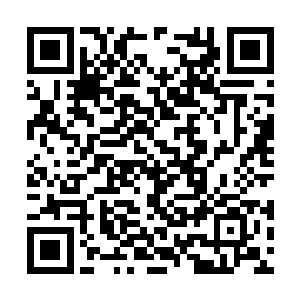 以前杨风炼制回神到不是没有主要而是少了一味辅二维码生成