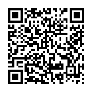 以前的确有不少豪门显贵想要来承租宁河郡的官田二维码生成