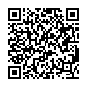 以前看新闻说某某演员出演一部电影就一千万人民币二维码生成