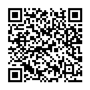 以前这些任务和上古战场确实可以很好的磨练他们二维码生成