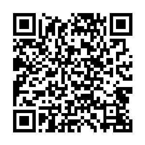 以前那些老外就成天嘲笑咱们华夏人没办法得到诺贝尔奖二维码生成