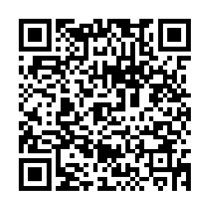 以前预言术都是在我独自沉思冥想的时候发挥作用二维码生成