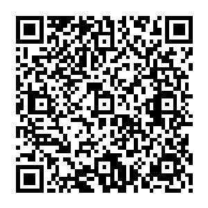 以及一个天道境高手所能够带来的巨大影响力――这对我们将家来说才是真正的灾难二维码生成