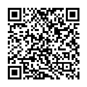 以及一些迷族外界据点中人的尸体便被众人挖了出来二维码生成