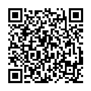 以及中午的一些剩菜剩饭拿出来喂食那些流浪犬……二维码生成