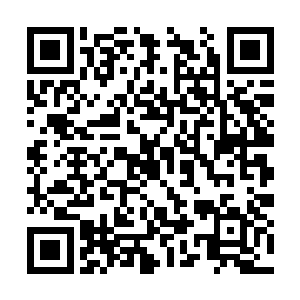 以及中央集团军群一部第四坦克集团军约十五万人二维码生成