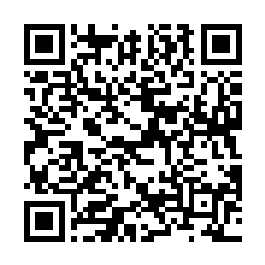 以及从夜叉小队四名成员的神魂中抽取出来的大块残魂二维码生成