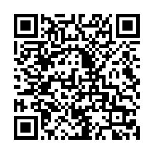 以及他来此地接连诛杀火灵王弟弟以及数万修士的霸气二维码生成