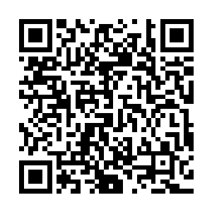以及作为艺人每天将站立坐卧等常规仪态锻炼到极致美感的习惯二维码生成