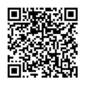 以及倒在地上一片的断肢和铺满了整个地面乃是墙壁的鲜血二维码生成