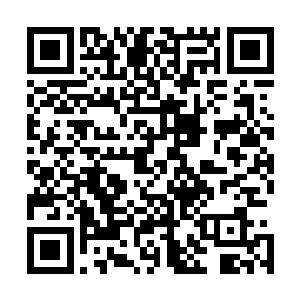 以及去了一趟省人民医院给马老先生和张小姐的母亲看病外二维码生成