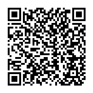 以及在广场之上的众圣骑看着眼前的这一幕嘴角皆是不由的露出了一抹笑意二维码生成