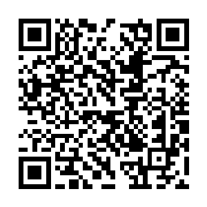 以及大批围观的酒店观光客与体格强壮的大量佣兵二维码生成